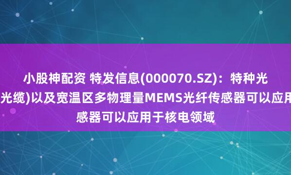 小股神配资 特发信息(000070.SZ)：特种光缆(耐核辐射光缆)以及宽温区多物理量MEMS光纤传感器可以应用于核电领域