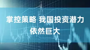 掌控策略 我国投资潜力依然巨大