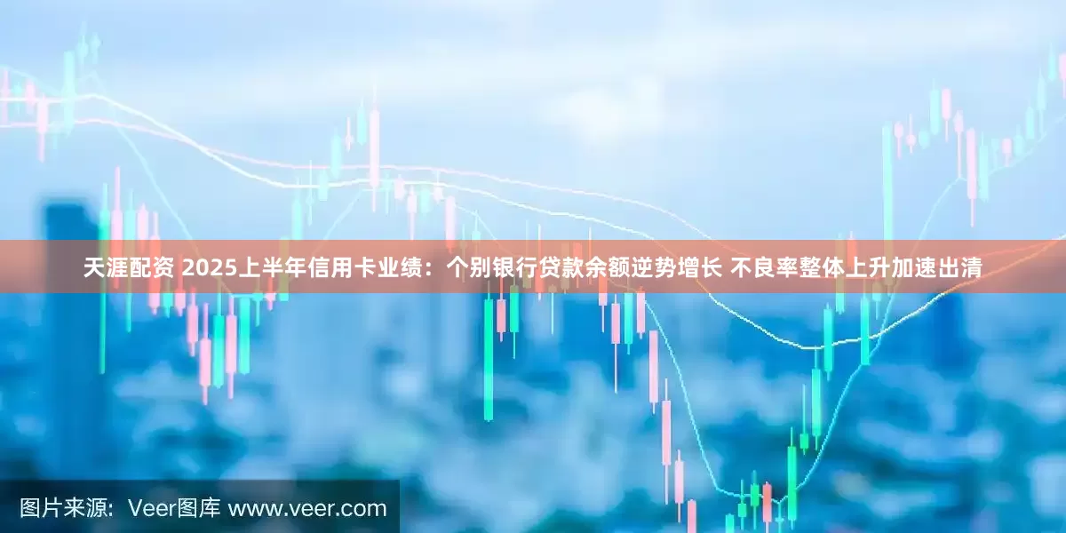 天涯配资 2025上半年信用卡业绩：个别银行贷款余额逆势增长 不良率整体上升加速出清